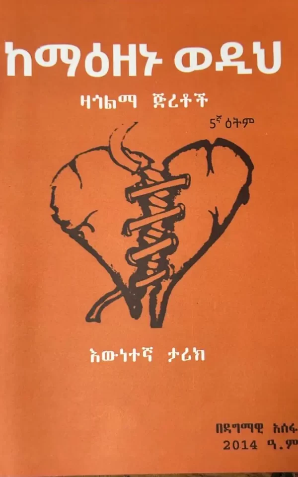 Dagmawi Assefa books Kemaezenu wedih