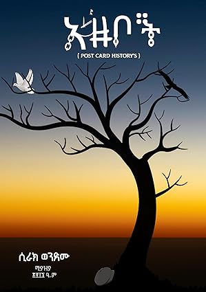 Azebot by Sirak Wondemu 