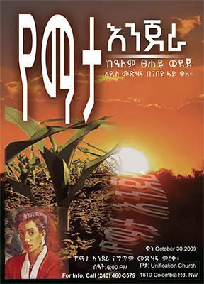 Yemata Injera book by Alemtsehay Wedajo