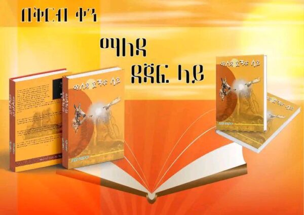 ማለዳ ደጃፍ ላይ Maleda Dejaf Lay by Eden Habtamu - Image 2