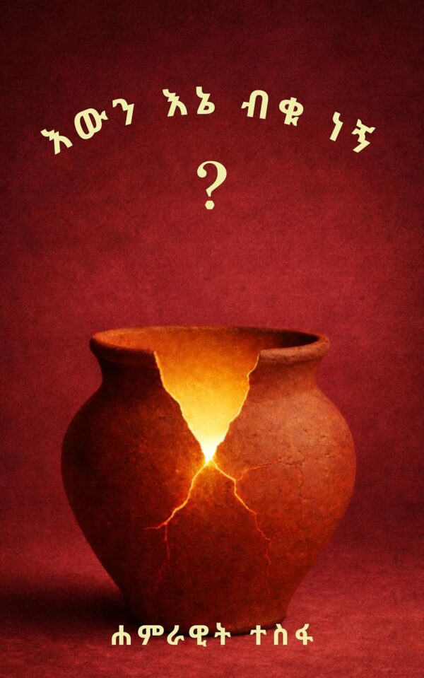 Ewin enie biku negn book by Hamrawit Tesfa