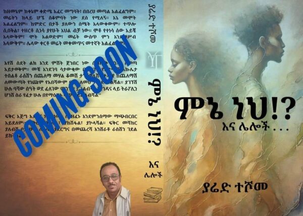 Menie neh? ምኔ ነህ by Yared Teshome Zelelew - Image 2