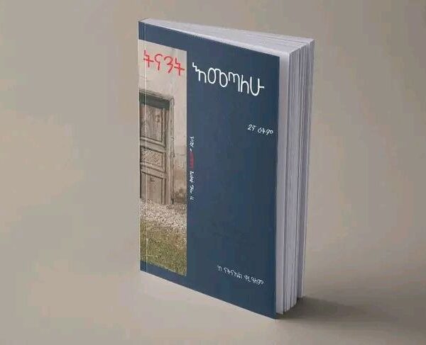 ትናንት እመጣለሁ Tenant Emetalehu by Natnael Kerealem