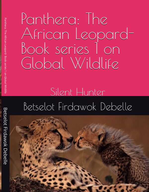 Panthera African Leopard - The Silent Hunter by Betselot Firdawok Debelle