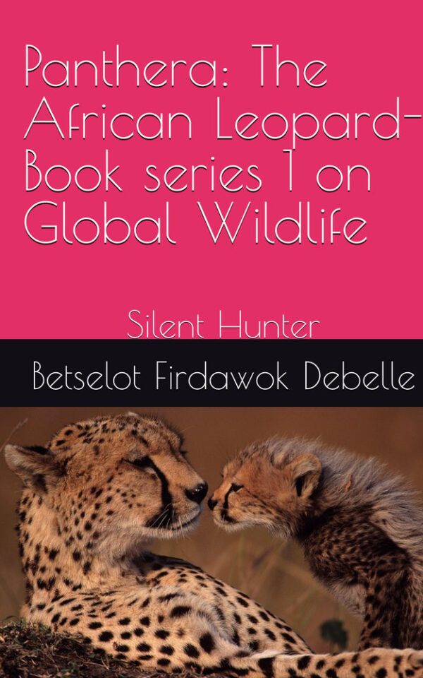 Panthera African Leopard – The Silent Hunter by Betselot Firdawok Debelle